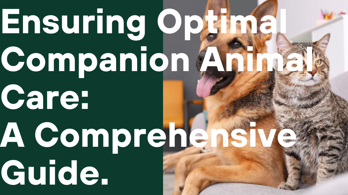 Ensuring Optimal Companion Animal Care: A Comprehensive Guide