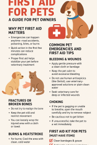 Read more about the article First Aid for Pets: A Guide for Pet Owners